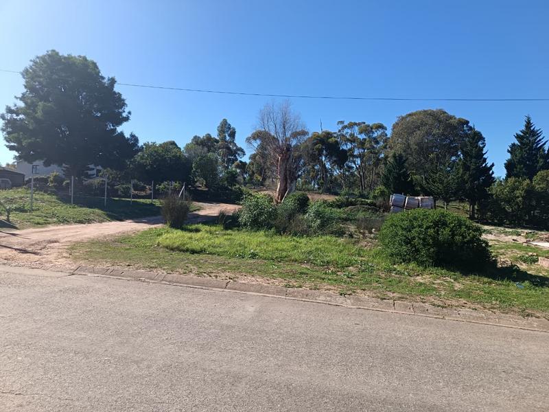 0 Bedroom Property for Sale in Albertinia Western Cape